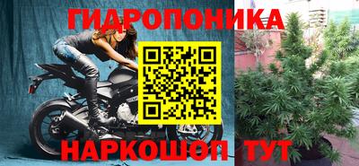 гидра Донецк