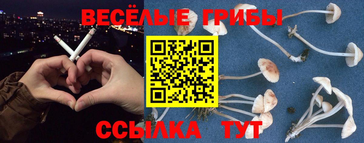 Кокаин  Вход с VPN  Плюхи  Мефедрон  А ПВП  Конопля  Павловский Посад  Гашиш 